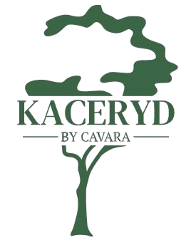 KACERYD – Accesorios sostenibles de lujo para Gatos